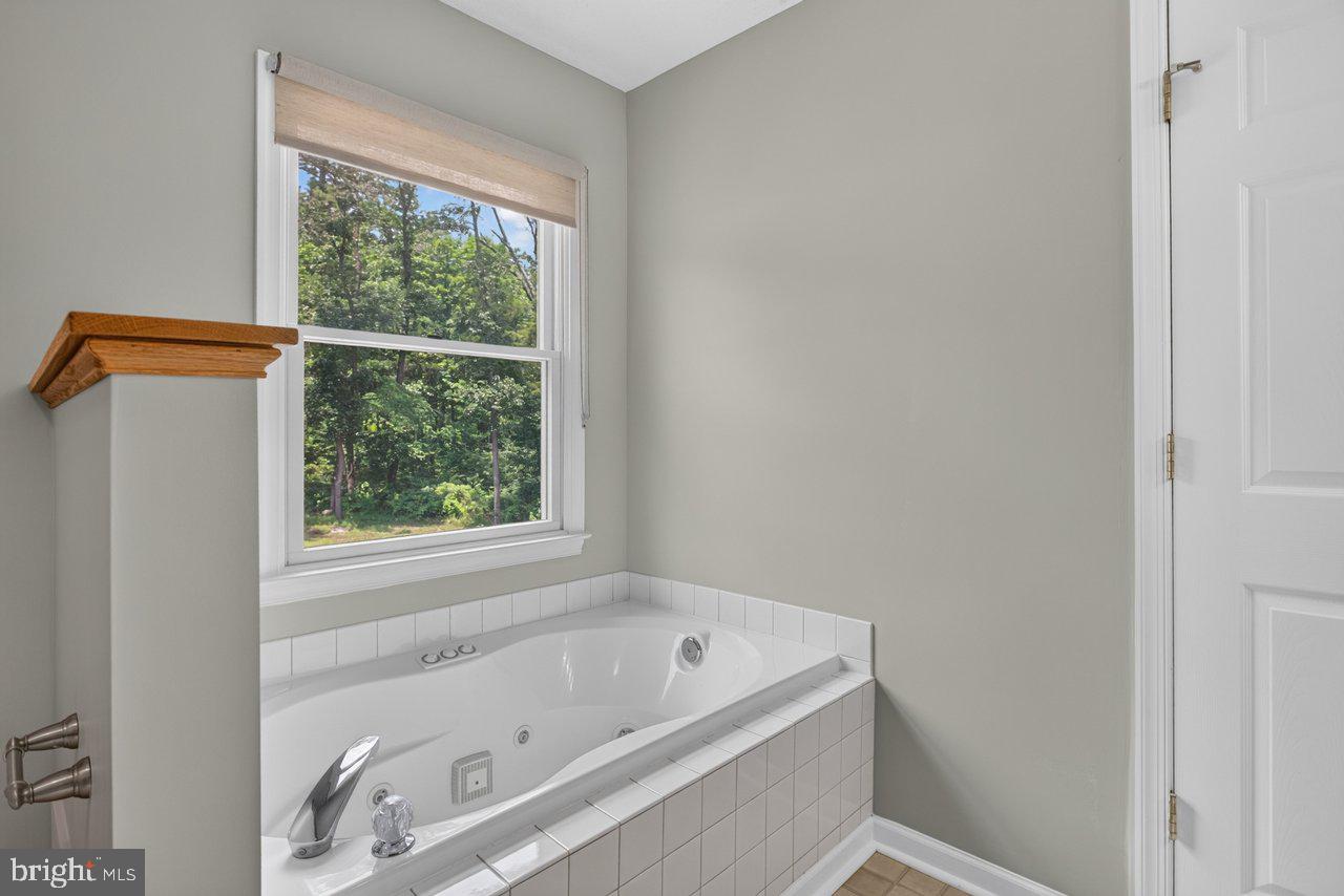 220 Oates Road Star Tannery, VA 22654 - Photo 41 of 109 Primary Bathroom