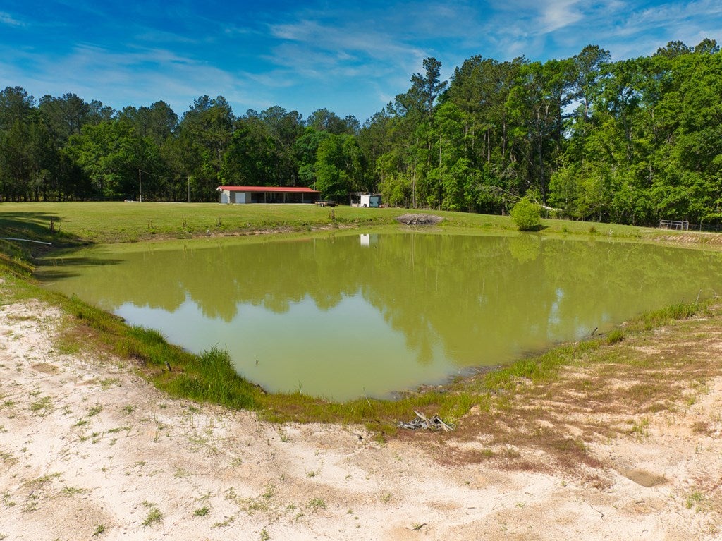 1113 Duncan Road Quitman, GA 31643 - Photo 11 of 40 Gallery Image 11