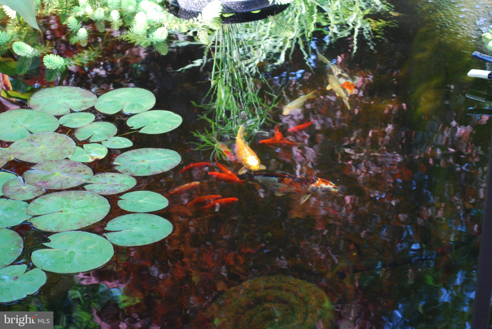 28 Congress Road Pine Hill, NJ 08021 - Photo 29 of 32