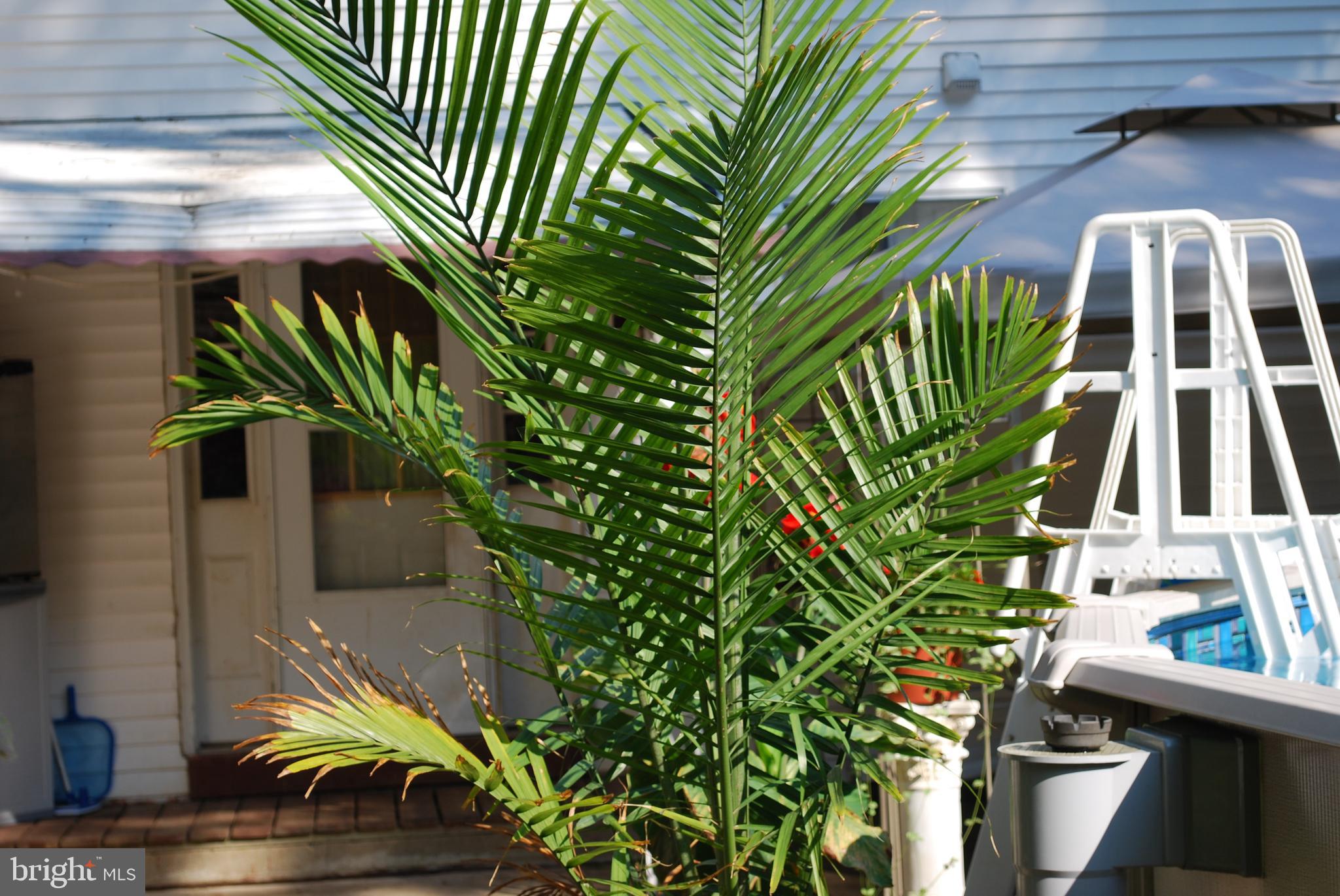 28 Congress Road Pine Hill, NJ 08021 - Photo 31 of 32