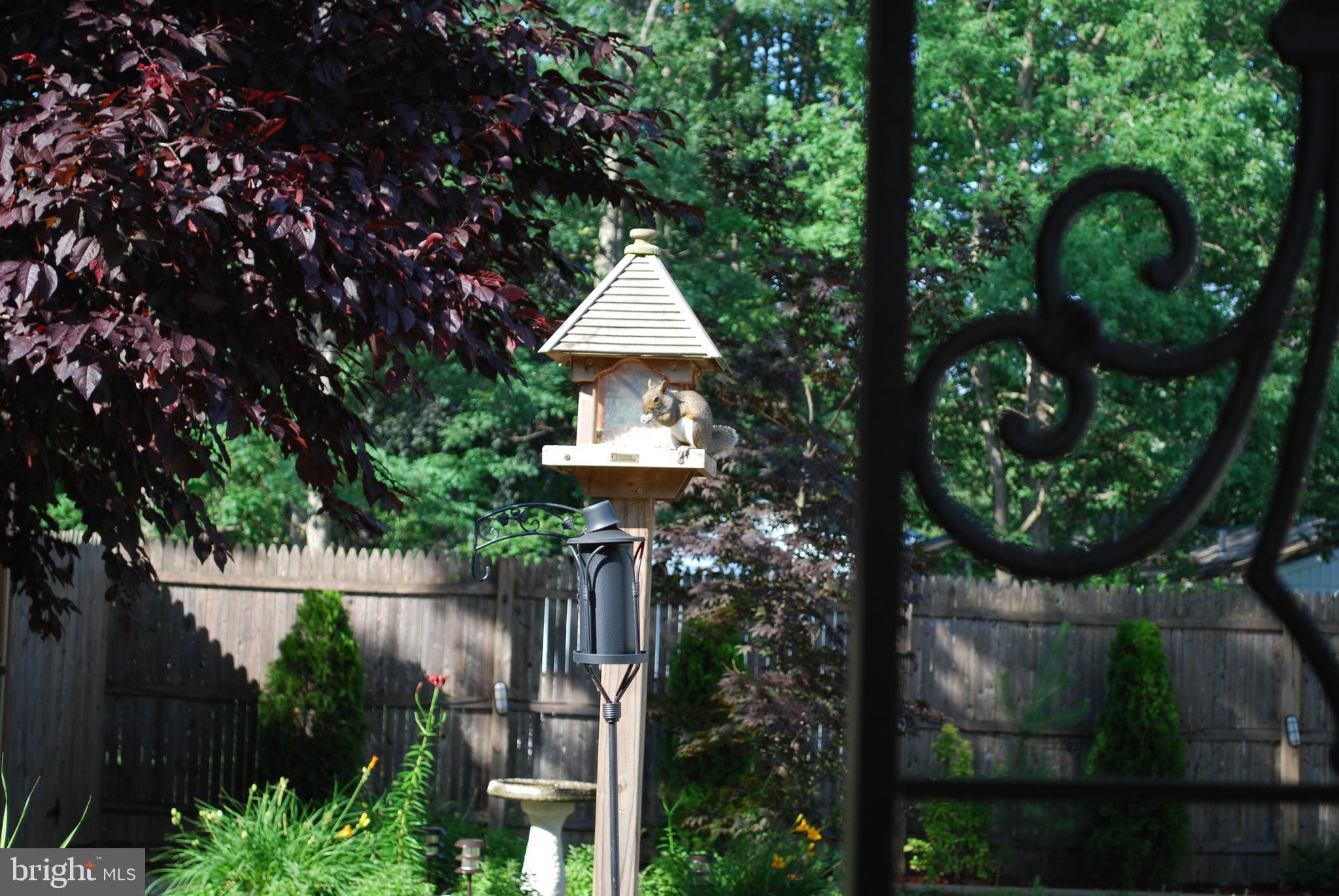 28 Congress Road Pine Hill, NJ 08021 - Photo 32 of 32