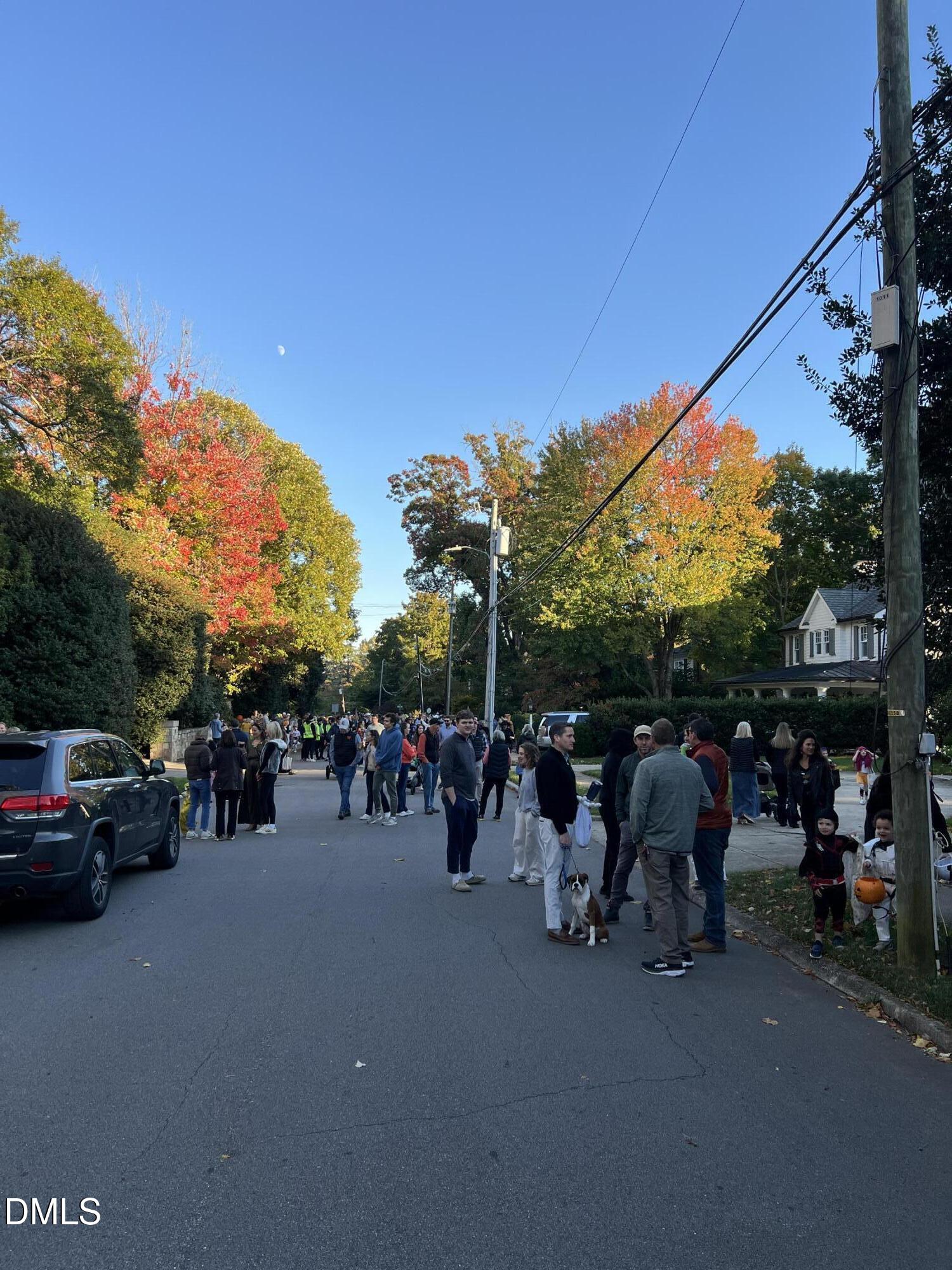 1015 Harvey Street Raleigh, NC 27608 - Photo 89 of 95 Halloween Parade!