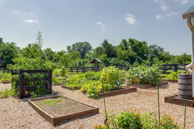 a view of a bench in the garden