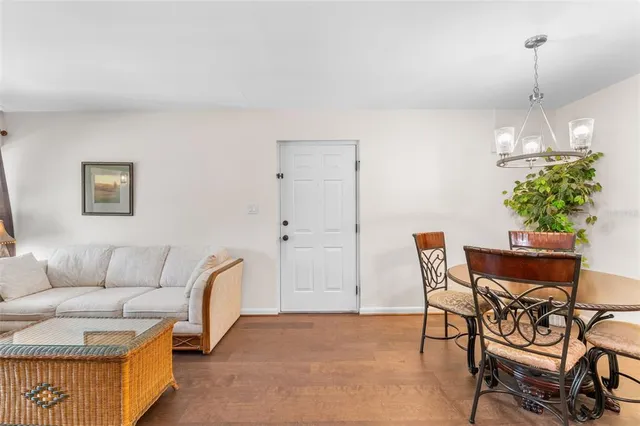 a view of a garden with lawn chairs