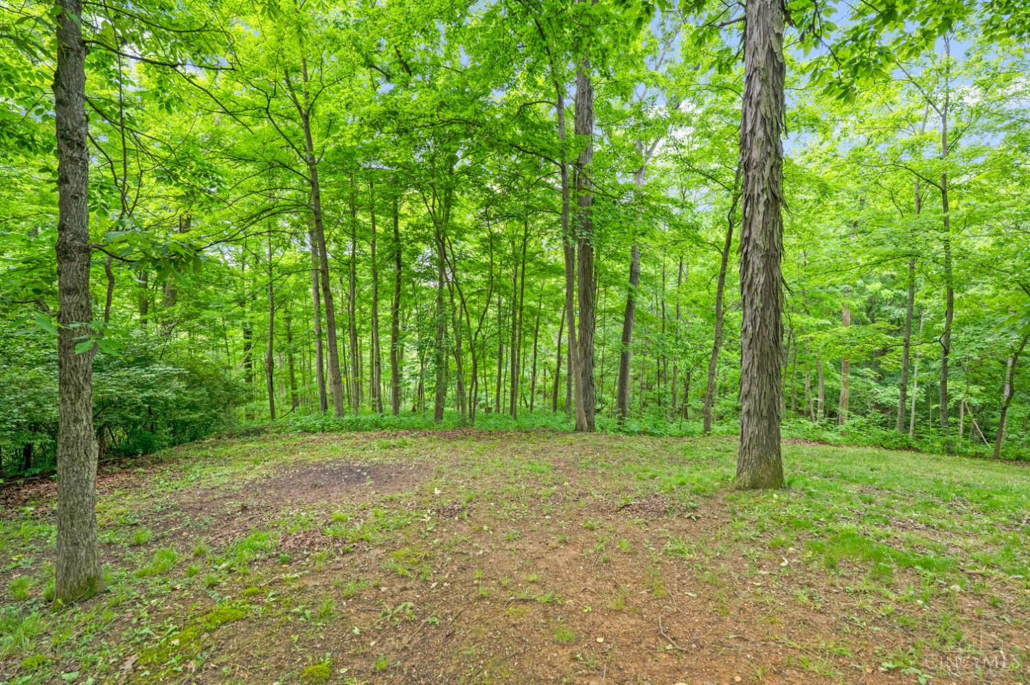 5604 Sugar Camp Road Milford, OH 45150 - Photo 55 of 65
