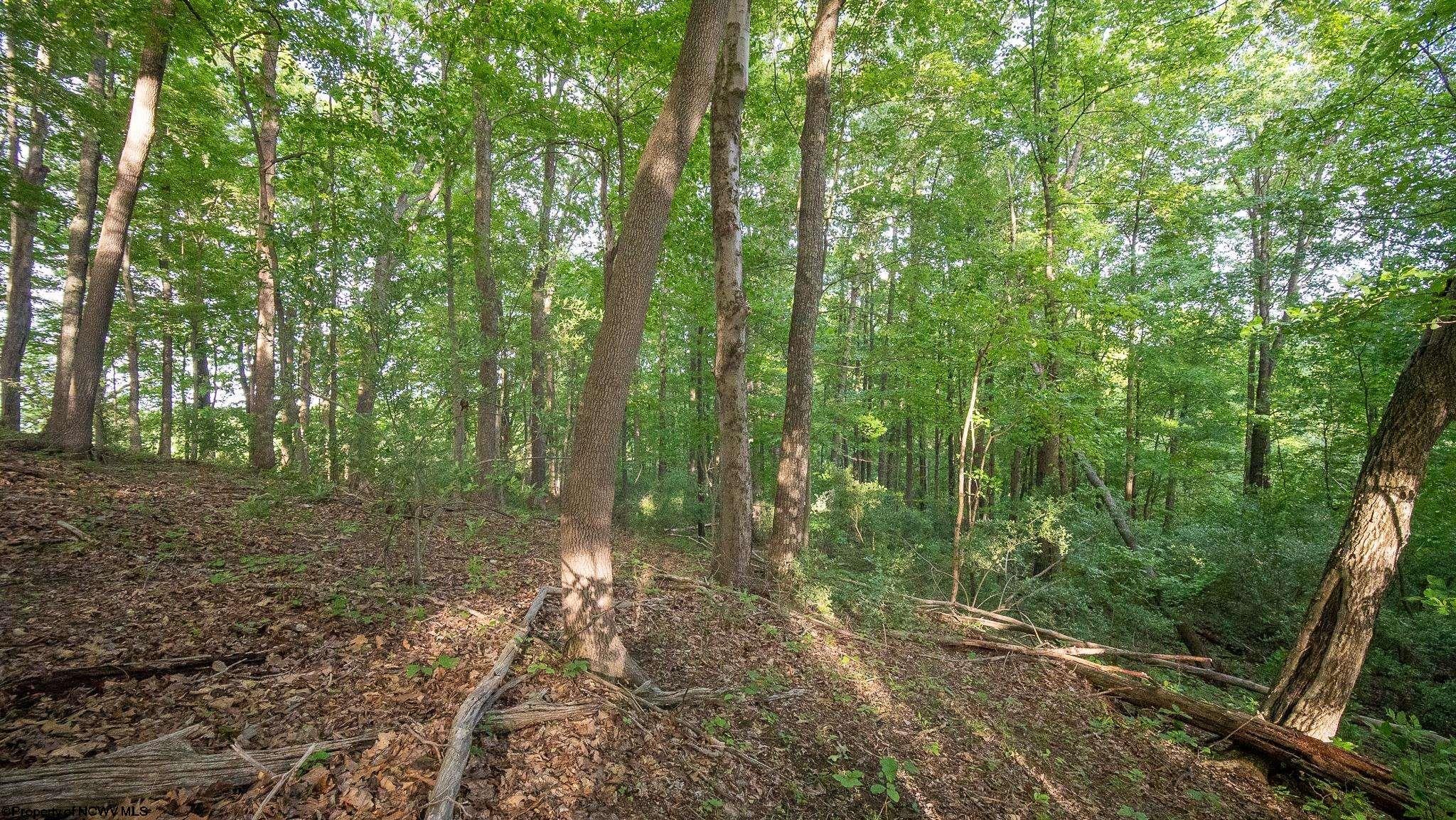 Lot 4 Rocco Run Walkersville, WV 26447 - Photo 12 of 27 Gallery Image 12