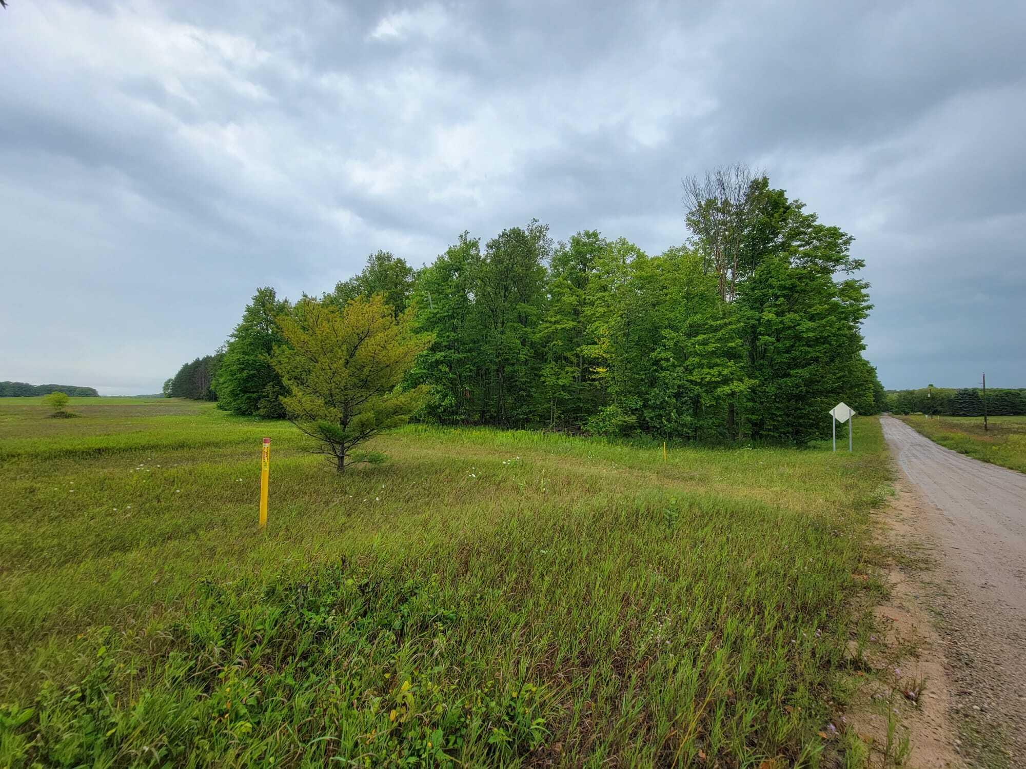 Oley Lake Road Gaylord, MI 49735 - Photo 7 of 11 Gallery Image 7