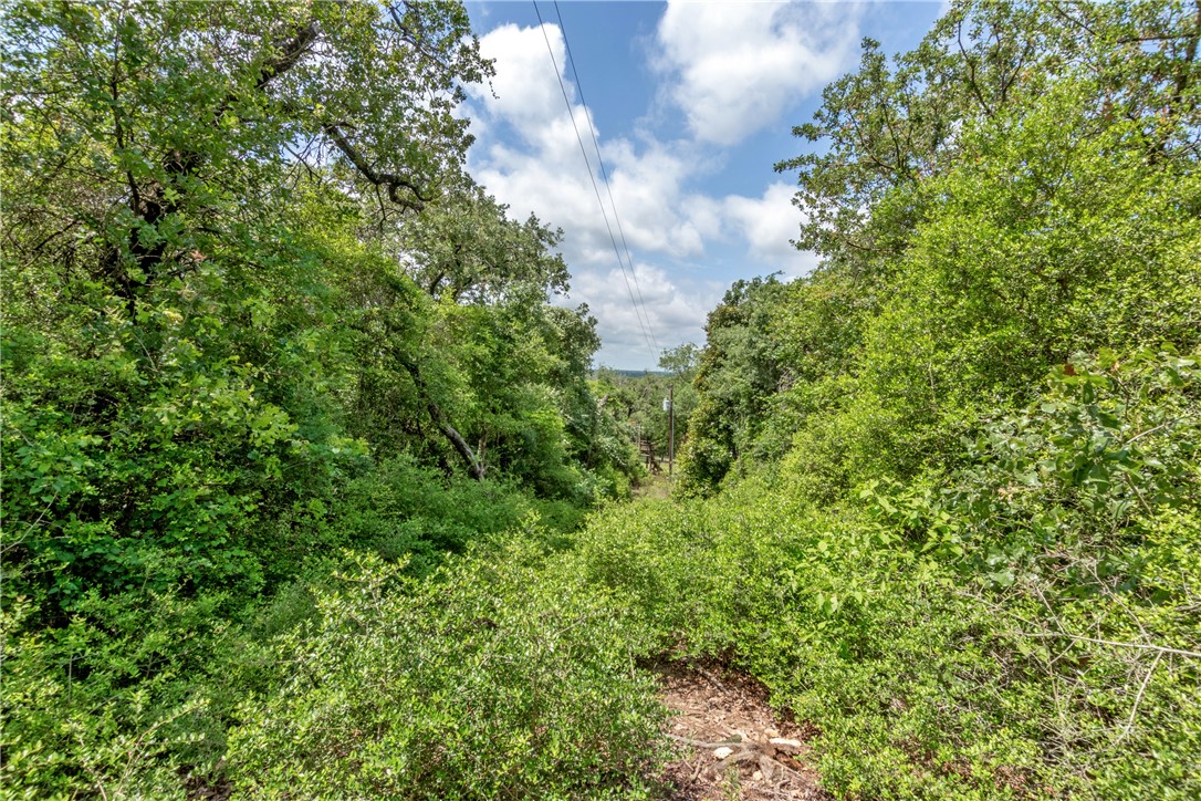 9997 Calhoun Road Bryan, TX 77808 - Photo 36 of 50 a view of a bunch of trees