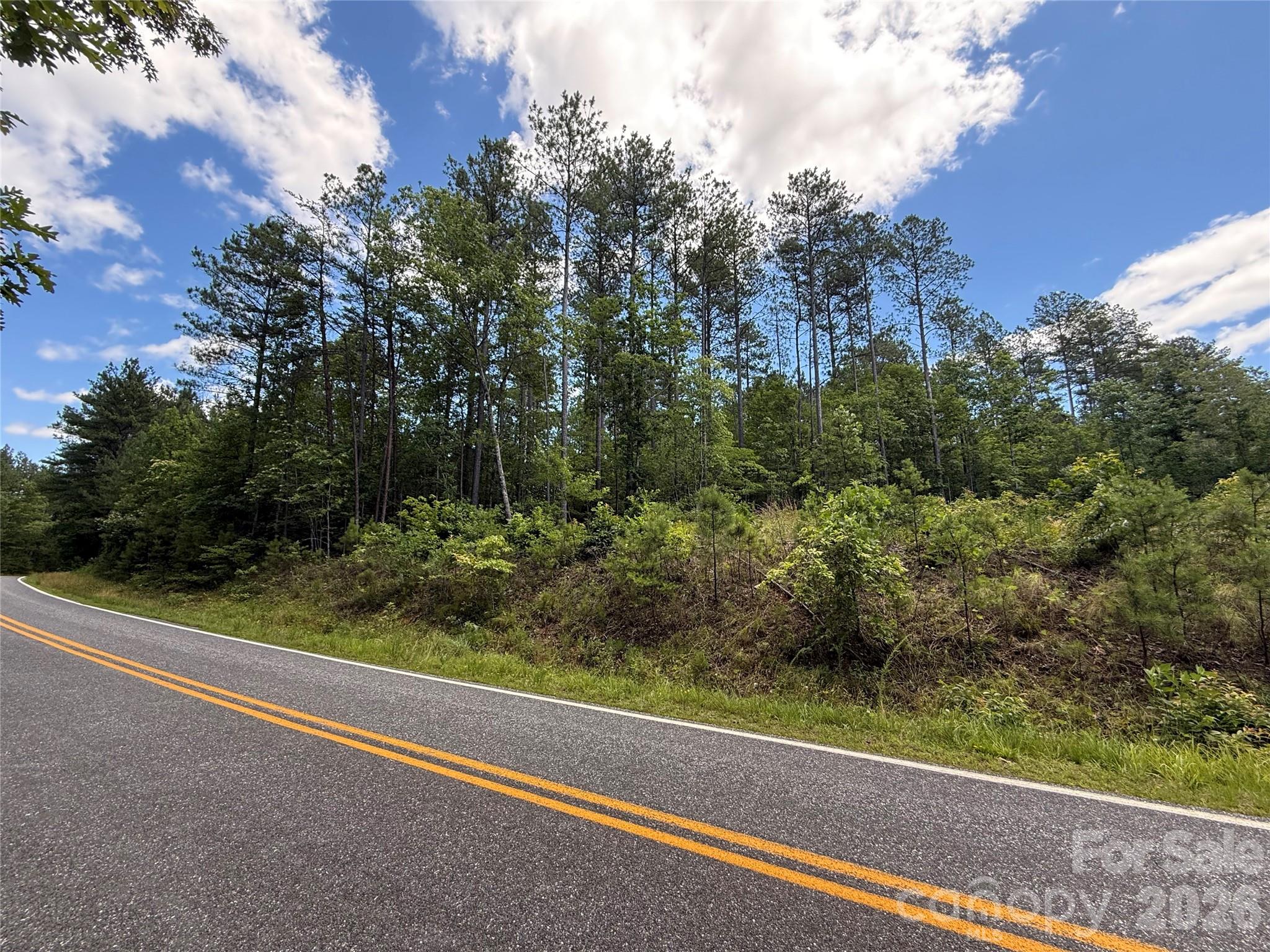 9999 Clark Road Rutherfordton, NC 28139 - Photo 7 of 19