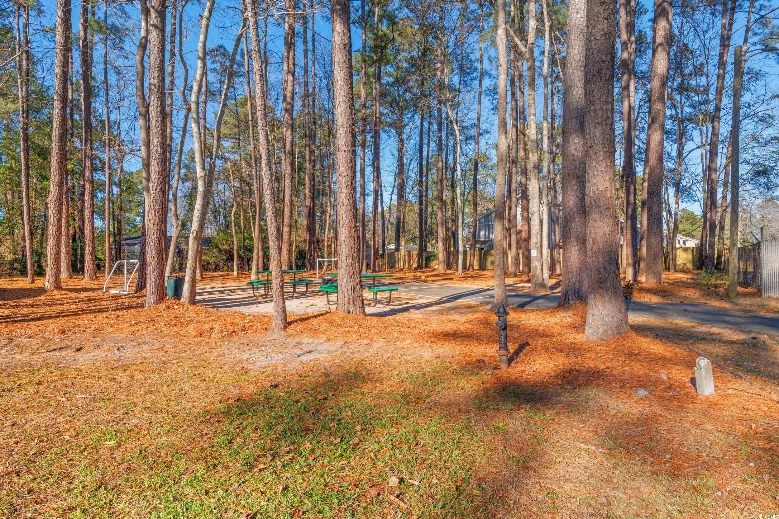 950 Forestbrook Road, Unit A2 Myrtle Beach, SC 29579 - Photo 17 of 19 Gallery Image 17