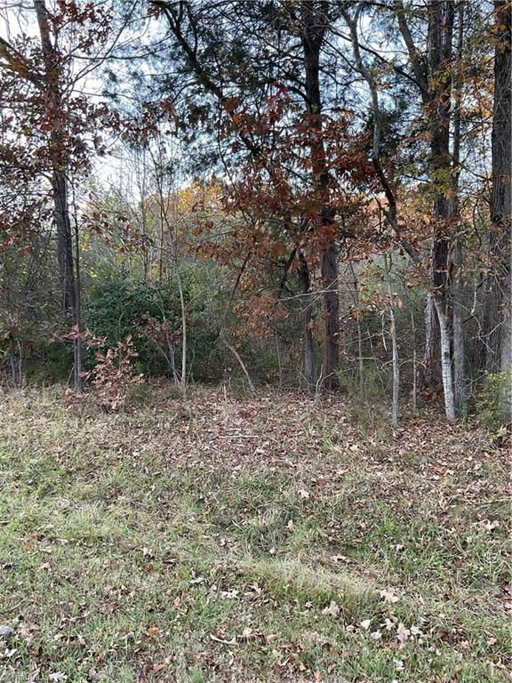 0 Spring Street Asheboro, NC 27205 - Photo 2 of 3 Gallery Image 2
