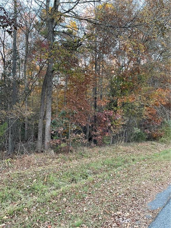 0 Spring Street Asheboro, NC 27205 - Photo 3 of 3 Gallery Image 3