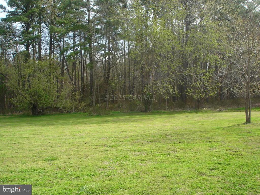 7611 Lower Hill Road Westover, MD 21871 - Photo 2 of 13 Gallery Image 2
