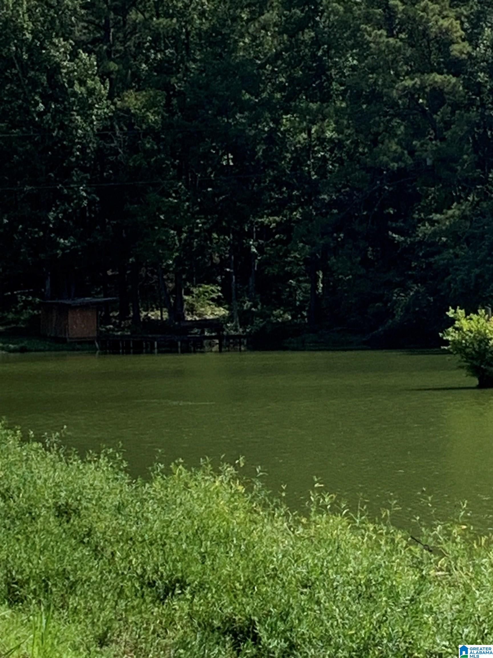 84 County Road 727, Unit 1 Montevallo, AL 35115 - Photo 3 of 4
