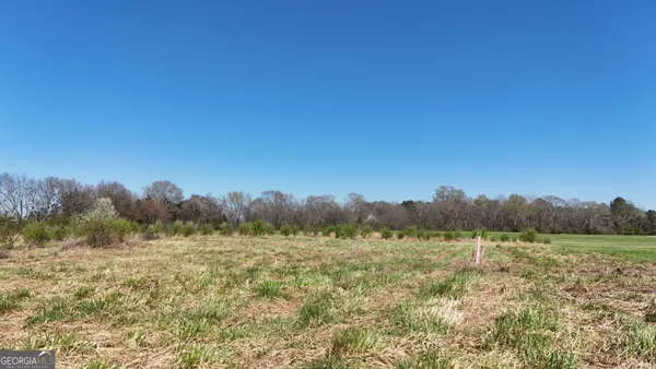 a view of a field with trees in the background