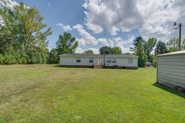 a tall tree in middle of the green field