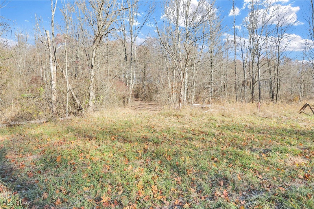 Mulberry Rd Mount Southeast Mount Perry, OH 43760 - Photo 8 of 16