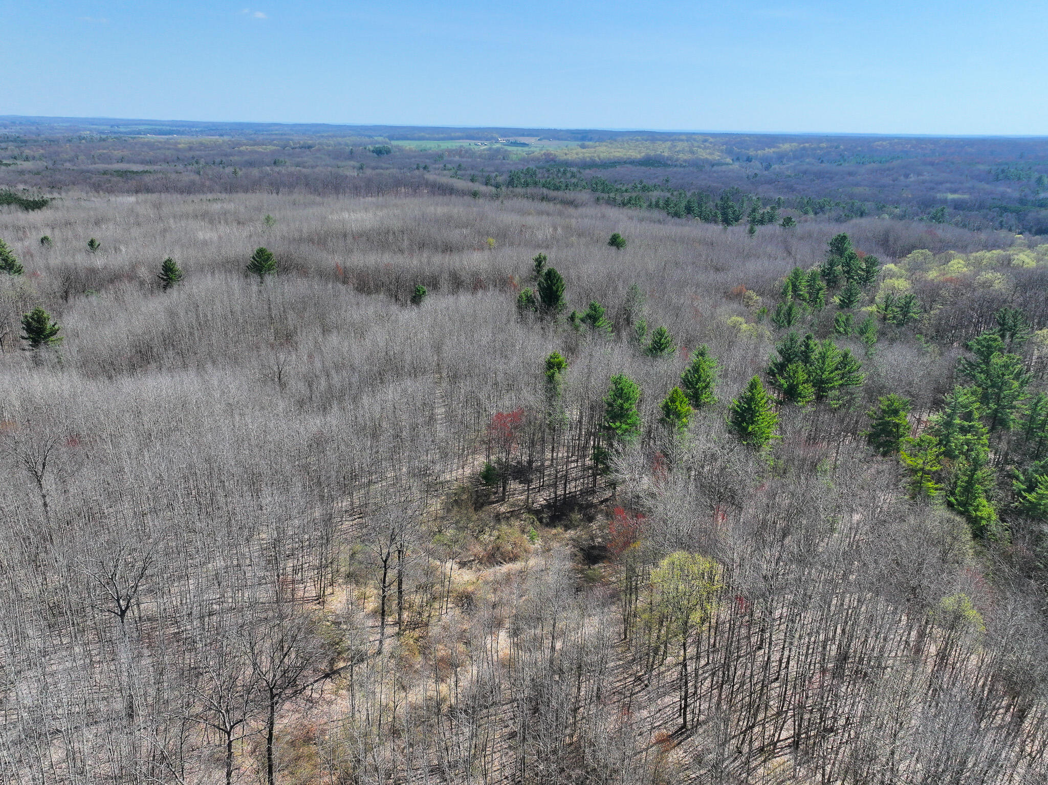 7415 East Anthony Road Branch, MI 49402 - Photo 57 of 99 DJI_20260416123600_0232_D