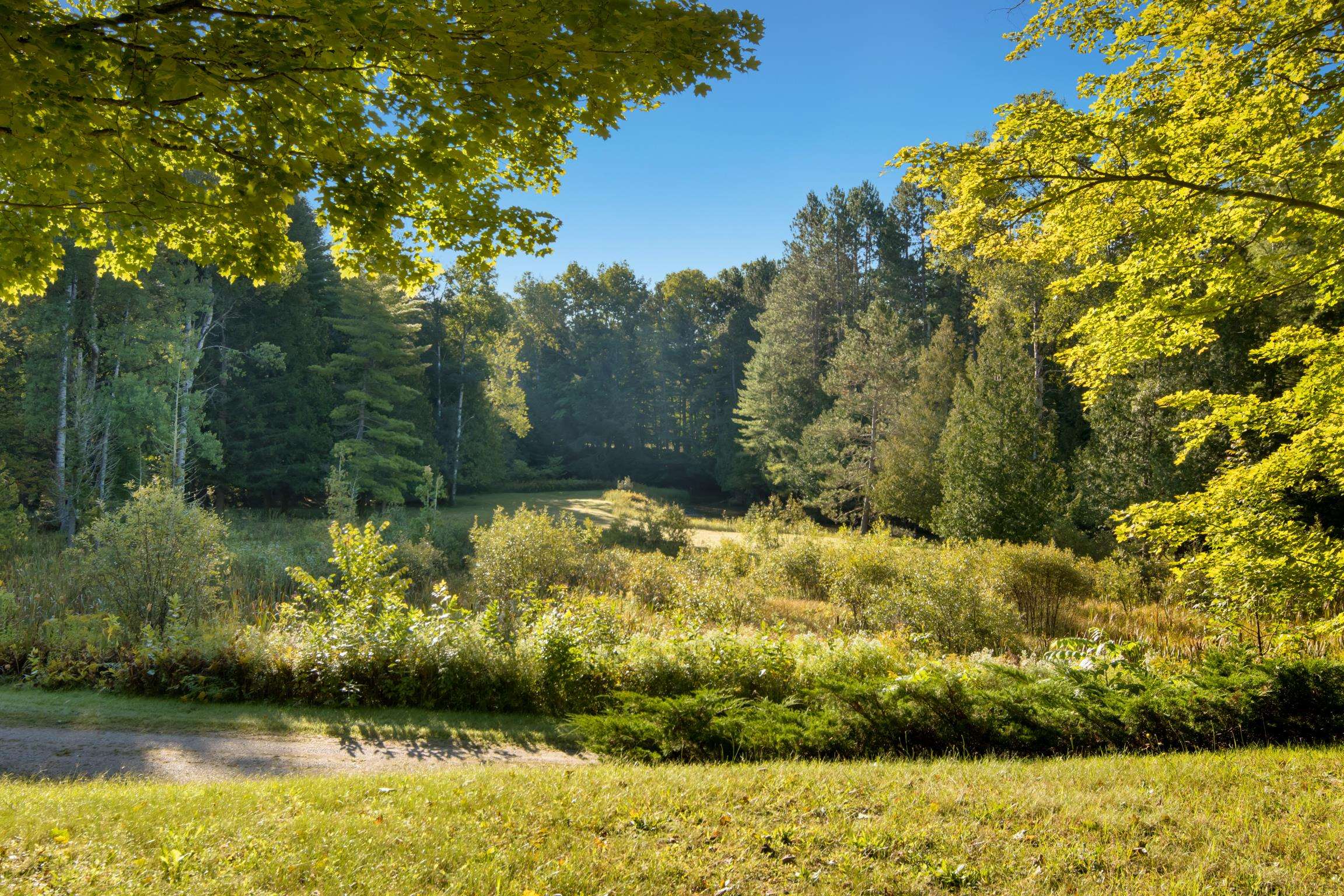 15172 Clark's Mill Road Interlochen, MI 49643 - Photo 49 of 69 1950615-456ef2a1-b0cb-474b-a250-ba5d885cbccb.JPG