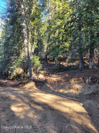 $295,000 | Nna Nna Id-200, Hope, ID 83836