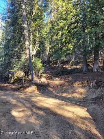 $295,000 | Nna Nna Id-200, Hope, ID 83836