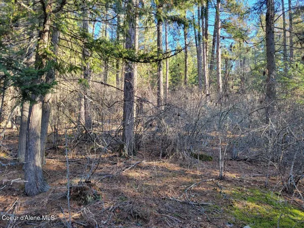 $295,000 | Nna Nna Id-200, Hope, ID 83836