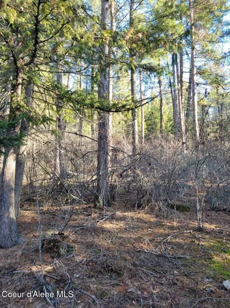 $295,000 | Nna Nna Id-200, Hope, ID 83836