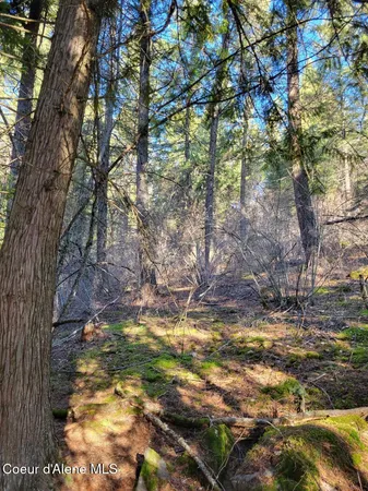 $295,000 | Nna Nna Id-200, Hope, ID 83836