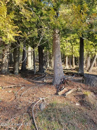 $295,000 | Nna Nna Id-200, Hope, ID 83836