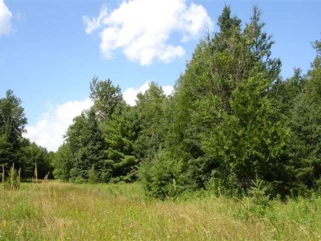 W6978 Divine Rapids Road Park Falls, WI 54552 - Photo 3 of 9 Gallery Image 3