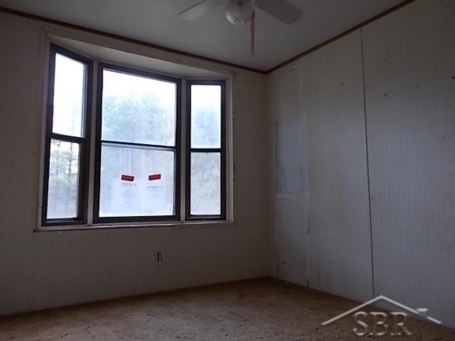 3375 Neuman Road Rhodes, MI 48652 - Photo 24 of 27 31315701-26.JPG