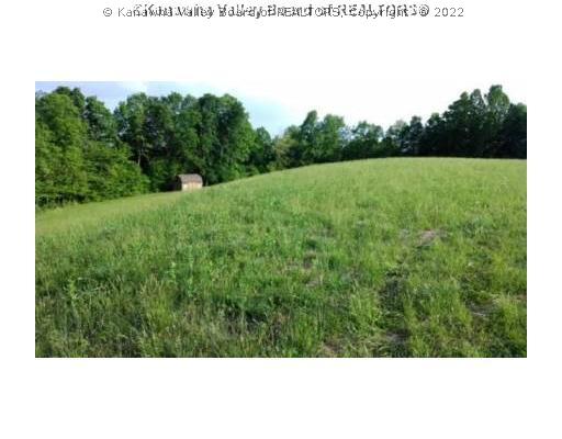 0 Jim Ridge Road Liberty, WV 25124 - Photo 7 of 29 Land.
