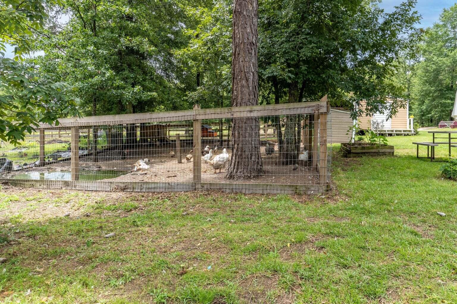 428 Equine Road Barnwell, SC 29812 - Photo 31 of 35