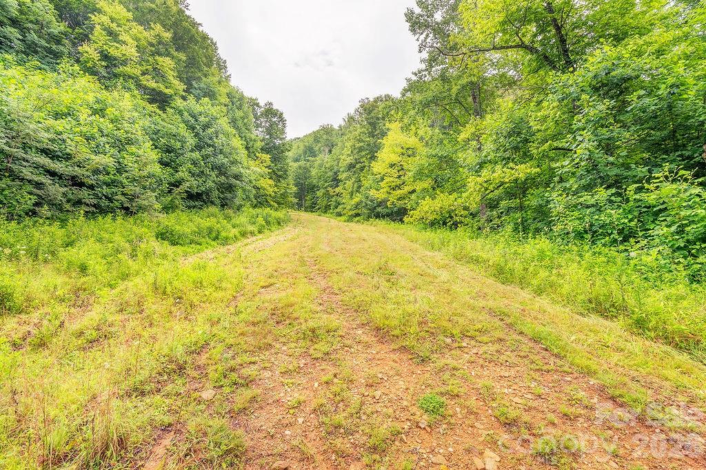 8485 Meadow Fork Road Hot Springs, NC 28743 - Photo 34 of 36 Gallery Image 34