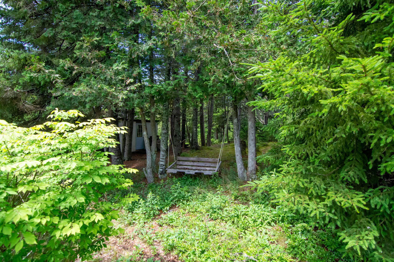 15 Swamp Road Gouldsboro, ME 04607 - Photo 34 of 35 Out Building yard