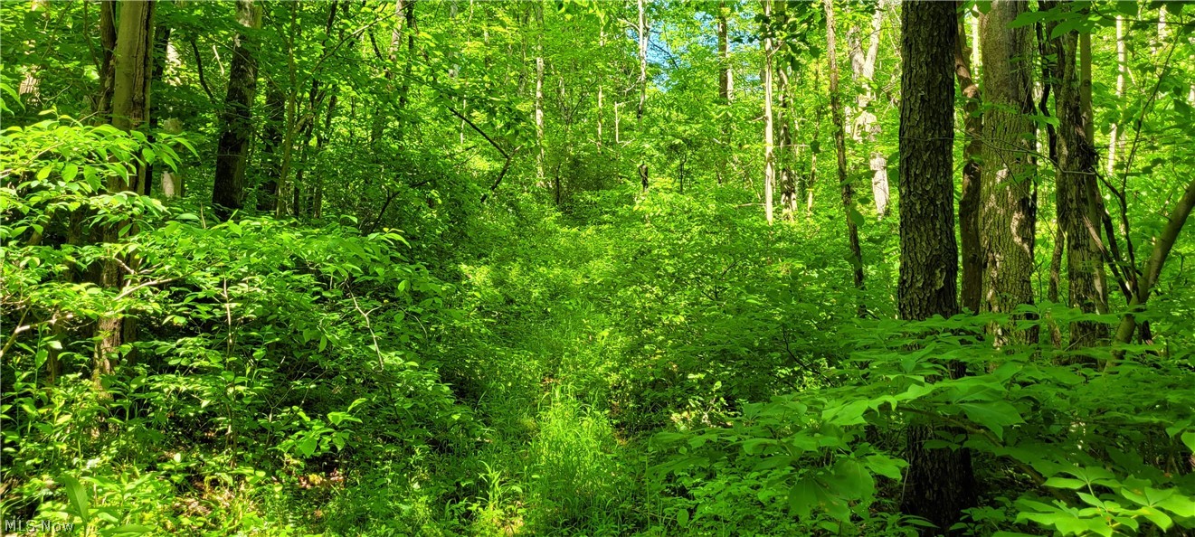 Hollis Clark Road Caldwell, OH 43724 - Photo 41 of 49