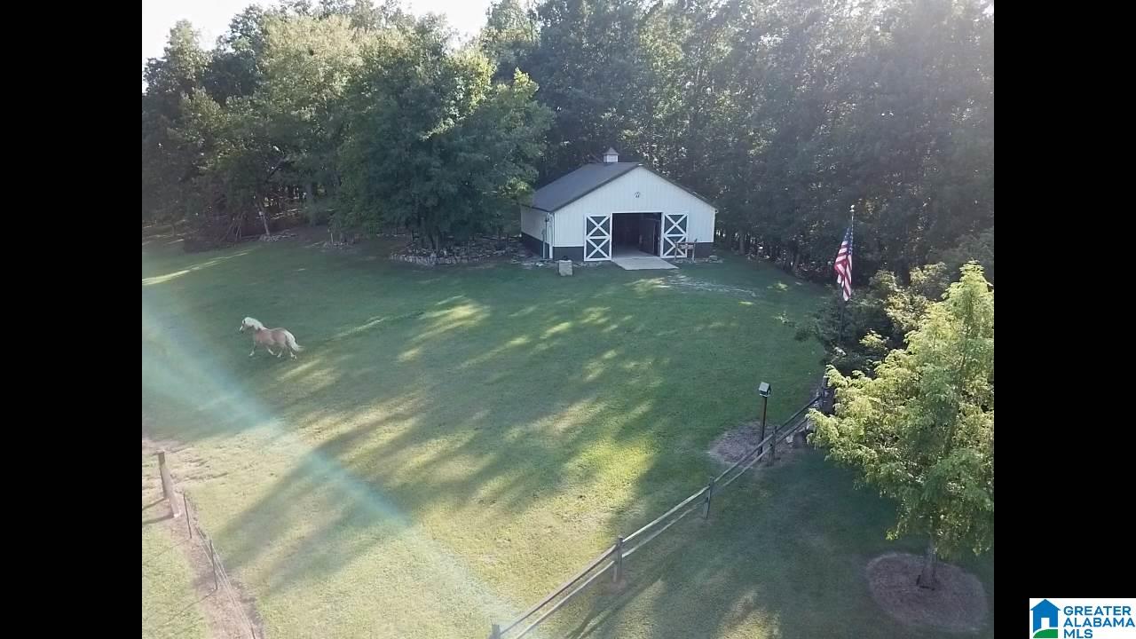 2801 Grist Mill Road Alpine, AL 35014 - Photo 29 of 47
