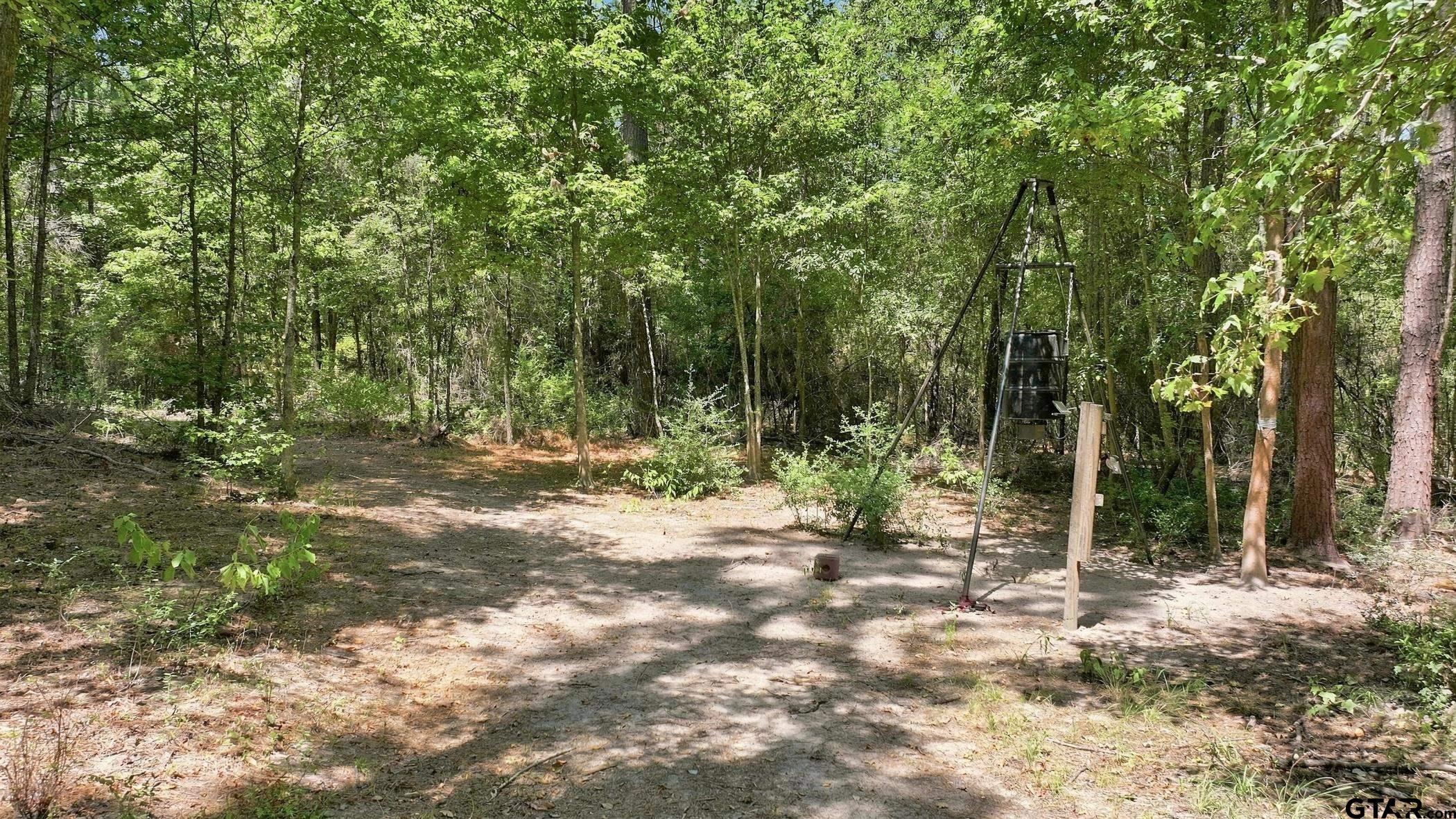 1798 County Road 2404 Rusk, TX 75785 - Photo 8 of 29 Feeder 1