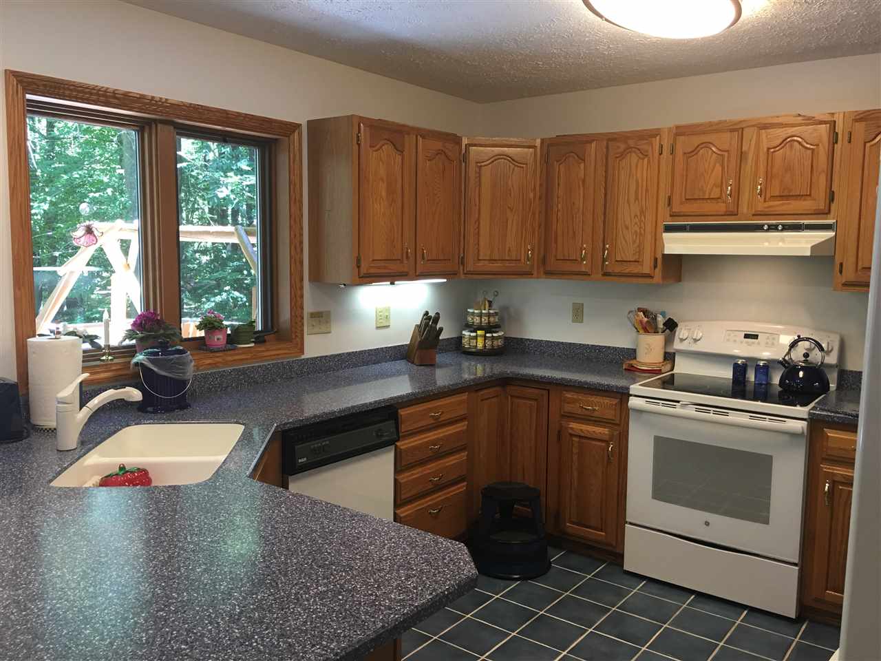 5010 East Gallivan Road Cedar, MI 49621 - Photo 12 of 37 1830527-11.JPG