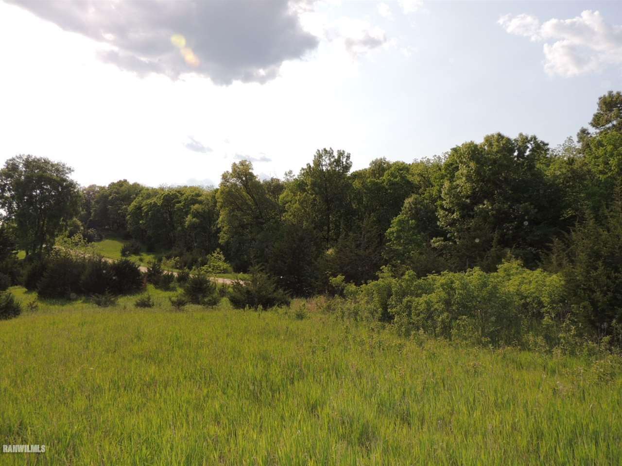5305 West Nobis Road Hanover, IL 61041 - Photo 6 of 10 a view of outdoor space and yard