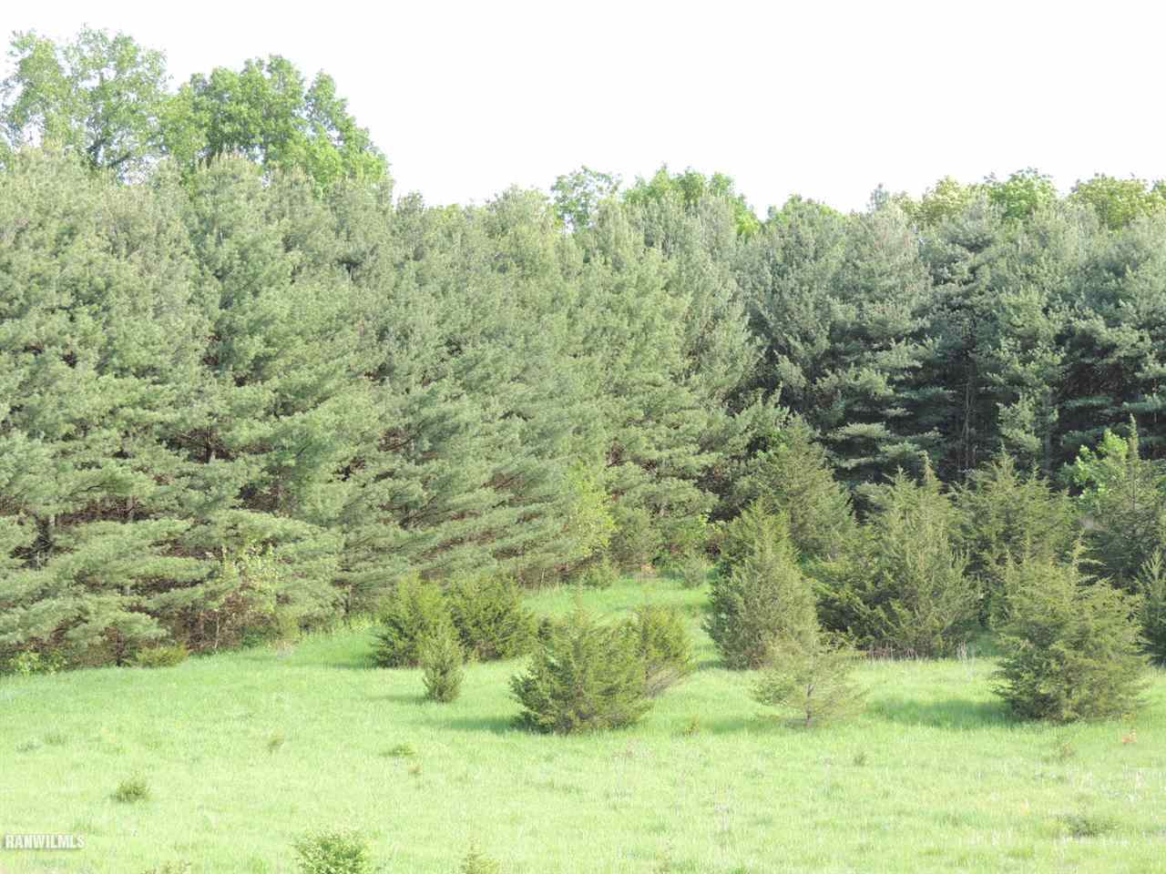 5305 West Nobis Road Hanover, IL 61041 - Photo 8 of 10 a view of a field with a tree