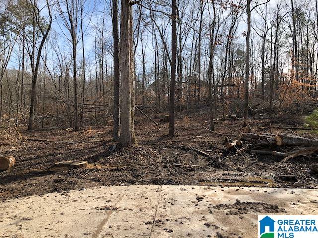 1919 Mt Gilead Road, Unit 9 21 Jacksonville, AL 36265 - Photo 34 of 39
