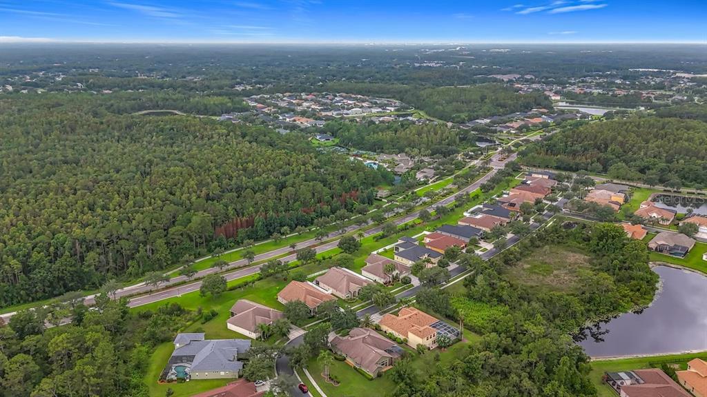 20626 Longleaf Pine Avenue Tampa, FL 33647 - Photo 32 of 86 an aerial view of residential houses with outdoor space