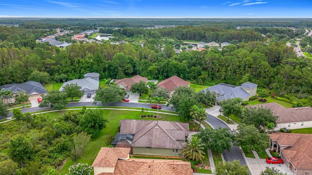 20626 Longleaf Pine Avenue Tampa, FL 33647 - Photo 33 of 86