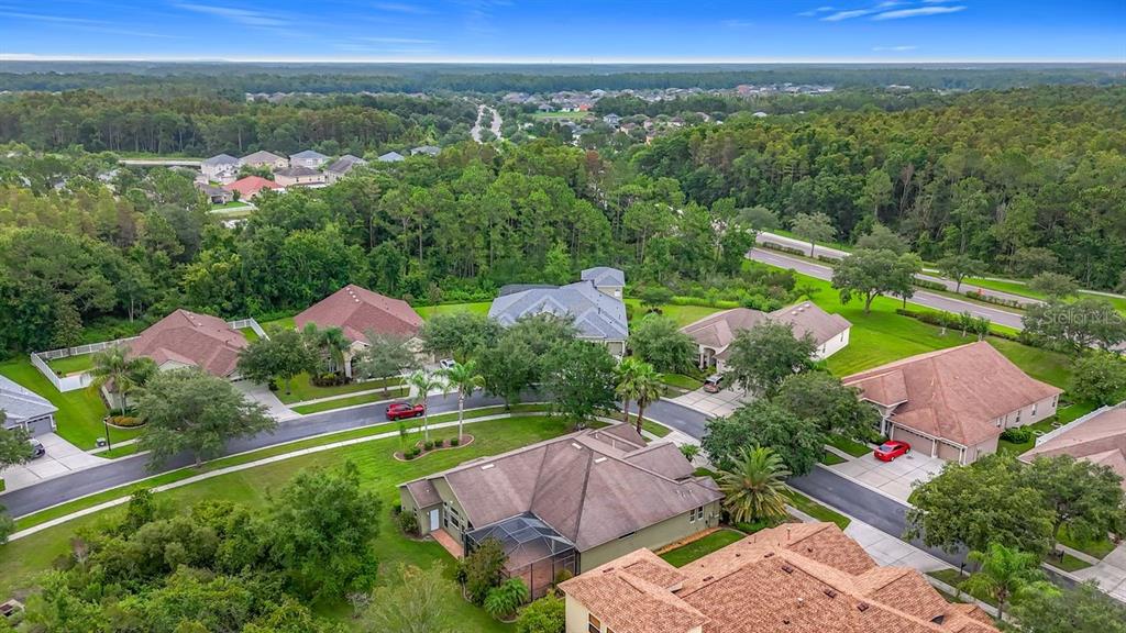 20626 Longleaf Pine Avenue Tampa, FL 33647 - Photo 34 of 86