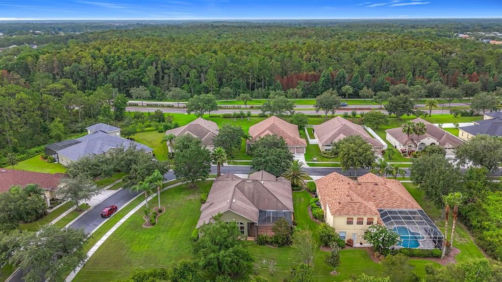 20626 Longleaf Pine Avenue Tampa, FL 33647 - Photo 35 of 86