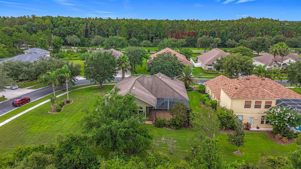 20626 Longleaf Pine Avenue Tampa, FL 33647 - Photo 38 of 86