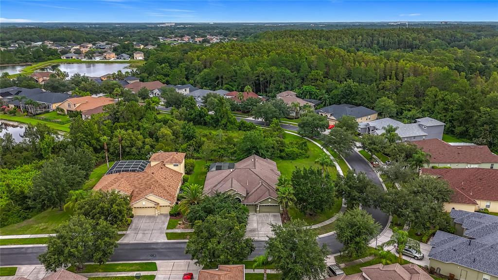 20626 Longleaf Pine Avenue Tampa, FL 33647 - Photo 77 of 86