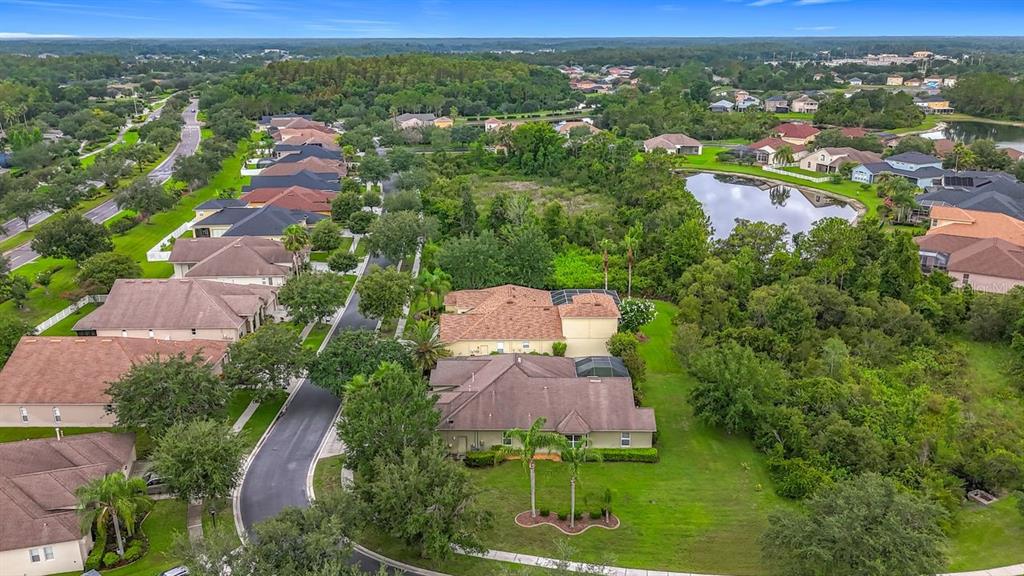 20626 Longleaf Pine Avenue Tampa, FL 33647 - Photo 78 of 86 an aerial view of multiple house