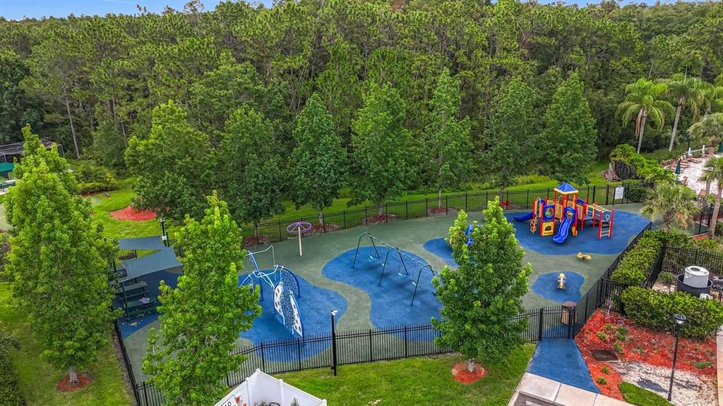 20626 Longleaf Pine Avenue Tampa, FL 33647 - Photo 82 of 86 an aerial view of a house outdoor space and street view
